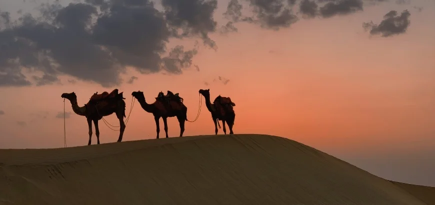 Pushkar Desert