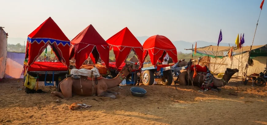 Pushkar Sightseeing Tour