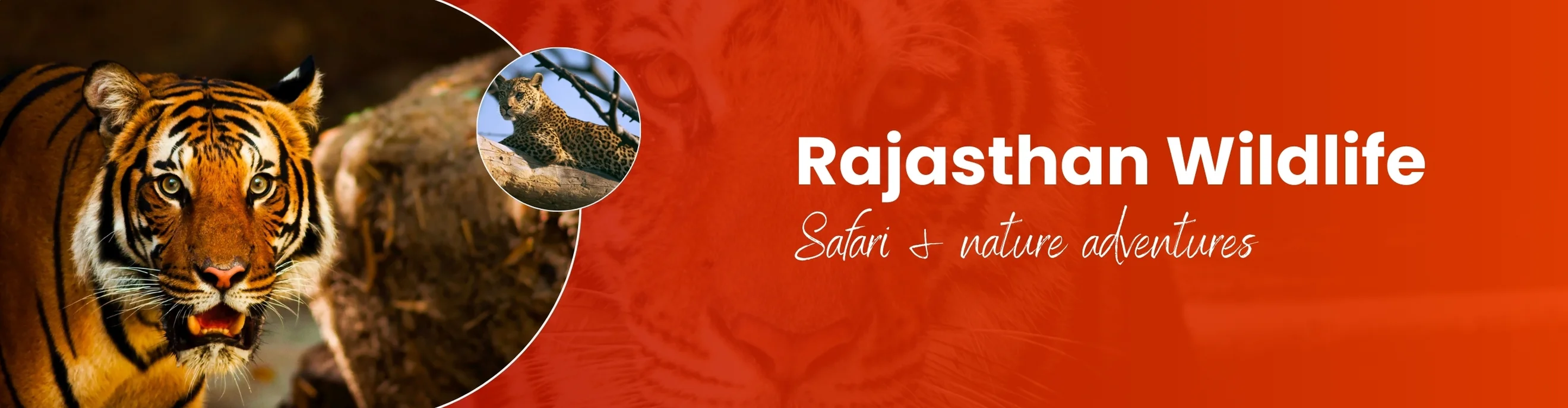Rajasthan Wildlife Tour
